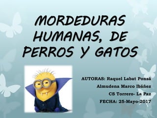 MORDEDURAS
HUMANAS, DE
PERROS Y GATOS
AUTORAS: Raquel Labat Ponsá
Almudena Marco Ibáñez
CS Torrero- La Paz
FECHA: 25-Mayo-2017
 