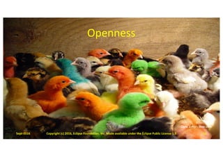 Openness
Chris J. Fry – flickr.com
Sept-2016 Copyright	(c)	2016,	Eclipse	Foundation,	Inc.	Made	available	under	the	Eclipse	Public	License	1.0 11
 