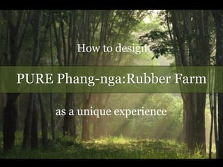 PURE Phang-nga:Rubber Farm
How to design
as a unique experience
 