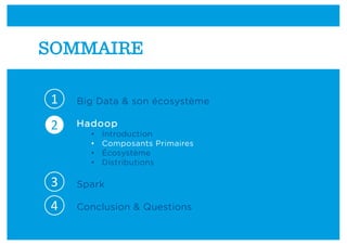 Big Data & son écosystème
Hadoop
• Introduction
• Composants Primaires
• Écosystème
• Distributions
Spark
Conclusion & Questions
SOMMAIRE
1
2
3
4
 