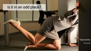 Is it in an odd place?
Taxonomy
IA issues
 