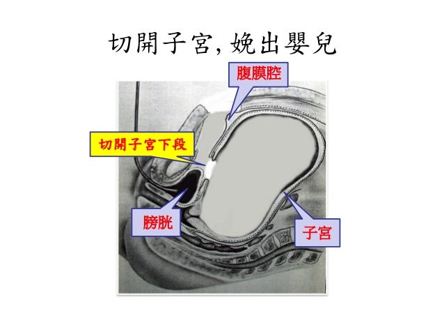 生產過程 Amp 生產方式的介紹17 0603b