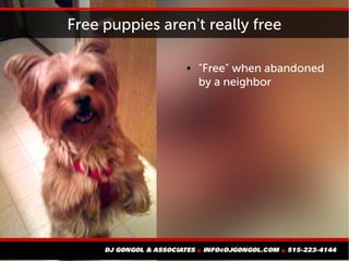 Free puppies aren't really free
 "Free" when abandoned
by a neighbor
 