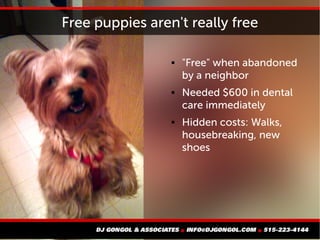 Free puppies aren't really free
 "Free" when abandoned
by a neighbor
 Needed $600 in dental
care immediately
 Hidden costs: Walks,
housebreaking, new
shoes
 