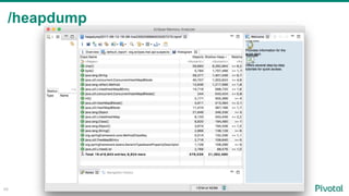 /heapdump
46
 