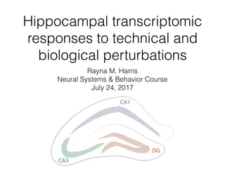 Hippocampal transcriptomic
responses to technical and
biological perturbations
Rayna M. Harris
Neural Systems & Behavior Course
July 24, 2017
 