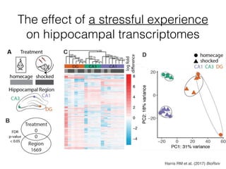 The effect of a stressful experience
on hippocampal transcriptomes
Harris RM et at. (2017) BioRxiv
 