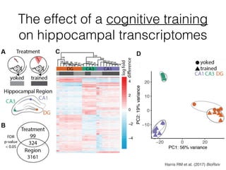 The effect of a cognitive training
on hippocampal transcriptomes
Harris RM et at. (2017) BioRxiv
 
