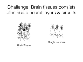 Challenge: Brain tissues consists
of intricate neural layers & circuits
Brain Tissue
Single Neurons
 