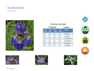 Iris Data Set
 