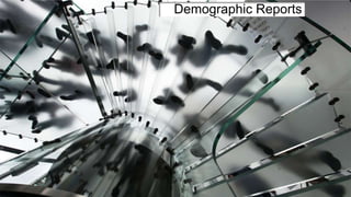 Demographic Reports
 