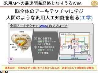 汎用AIへの最速開発経路となりうるWBA
脳全体のアーキテクチャに学び
人間のような汎用人工知能を創る(工学)
基本方針： 可能なかぎり粗いモデル化からはじめ，必要に応じて段階的に詳細化
 