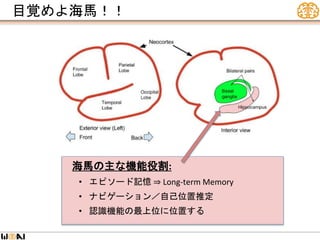 目覚めよ海馬！！
海馬の主な機能役割:
• エピソード記憶 ⇒ Long-term Memory
• ナビゲーション／自己位置推定
• 認識機能の最上位に位置する
 