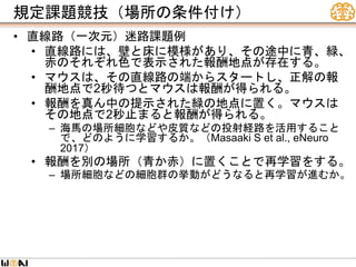 規定課題競技（場所の条件付け）
• 直線路（一次元）迷路課題例
• 直線路には、壁と床に模様があり、その途中に青、緑、
赤のそれぞれ色で表示された報酬地点が存在する。
• マウスは、その直線路の端からスタートし、正解の報
酬地点で2秒待つとマウスは報酬が得られる。
• 報酬を真ん中の提示された緑の地点に置く。マウスは
その地点で2秒止まると報酬が得られる。
– 海馬の場所細胞などや皮質などの投射経路を活用すること
で、どのように学習するか。（Masaaki S et al., eNeuro
2017）
• 報酬を別の場所（青か赤）に置くことで再学習をする。
– 場所細胞などの細胞群の挙動がどうなると再学習が進むか。
 