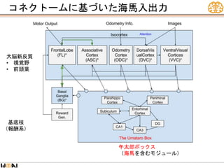 コネクトームに基づいた海馬入出力
午太郎ボックス
（海馬を含むモジュール）
基底核
（報酬系）
大脳新皮質
• 視覚野
• 前頭葉
 