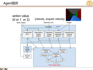 Agent設計
[velocity, angular velocity]
action value
(0 or 1 or 2)
 