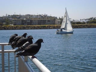 2017 08-13 19e zondag