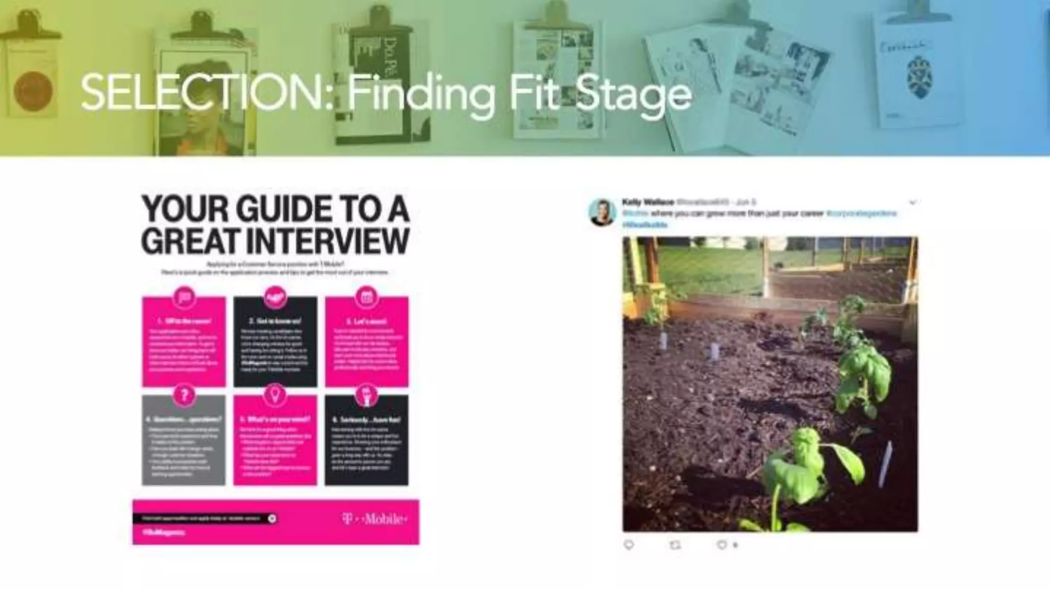 SELECTION: Finding Fit Stage
 