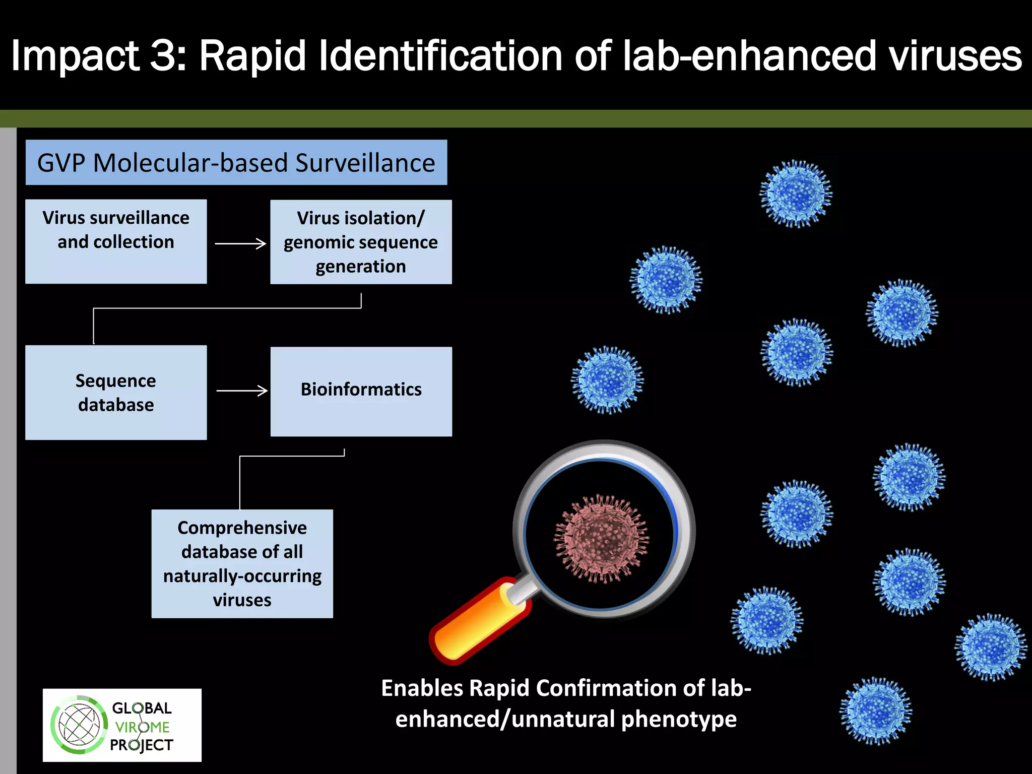 Virus surveillance
and collection
Virus isolation/
genomic sequence
generation
Sequence
database
Bioinformatics
Comprehensive
database of all
naturally-occurring
viruses
GVP Molecular-based Surveillance
Impact 3: Rapid Identification of lab-enhanced viruses
Enables Rapid Confirmation of lab-
enhanced/unnatural phenotype
 