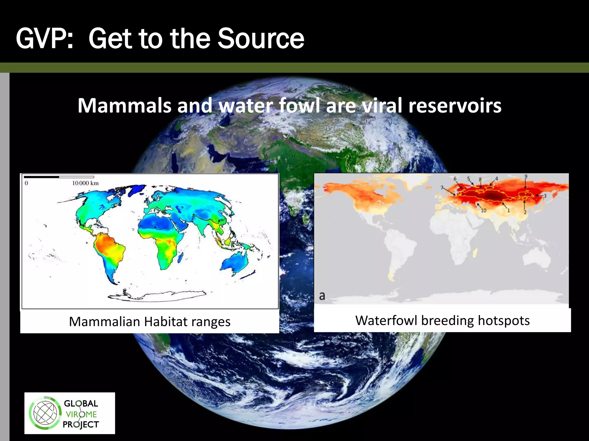 GVP: Get to the Source
Mammals and water fowl are viral reservoirs
Mammalian Habitat ranges Waterfowl breeding hotspots
 