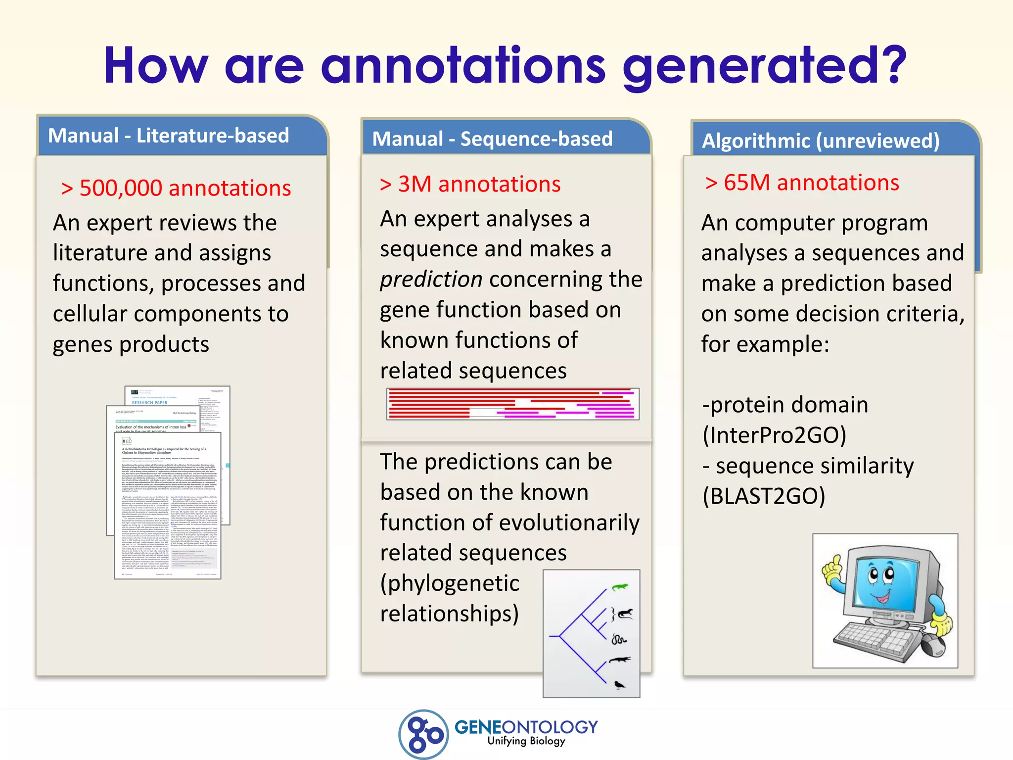 Manual	- Literature-based Manual	- Sequence-based Algorithmic	(unreviewed)
How are annotations generated?
An	computer	program	
analyses	a	sequences	and	
make	a	prediction	based	
on	some	decision	criteria,	
for	example:	
-protein	domain	
(InterPro2GO)
- sequence	similarity	
(BLAST2GO)
An	expert	reviews	the	
literature	and	assigns	
functions,	processes	and	
cellular	components	to	
genes	products	
>	500,000	annotations >	65M	annotations
An	expert	analyses	a	
sequence	and	makes	a	
prediction concerning	the	
gene	function	based	on	
known	functions	of	
related	sequences
The	predictions	can	be	
based	on	the	known	
function	of	evolutionarily	
related	sequences	
(phylogenetic	
relationships)	
>	3M	annotations
 