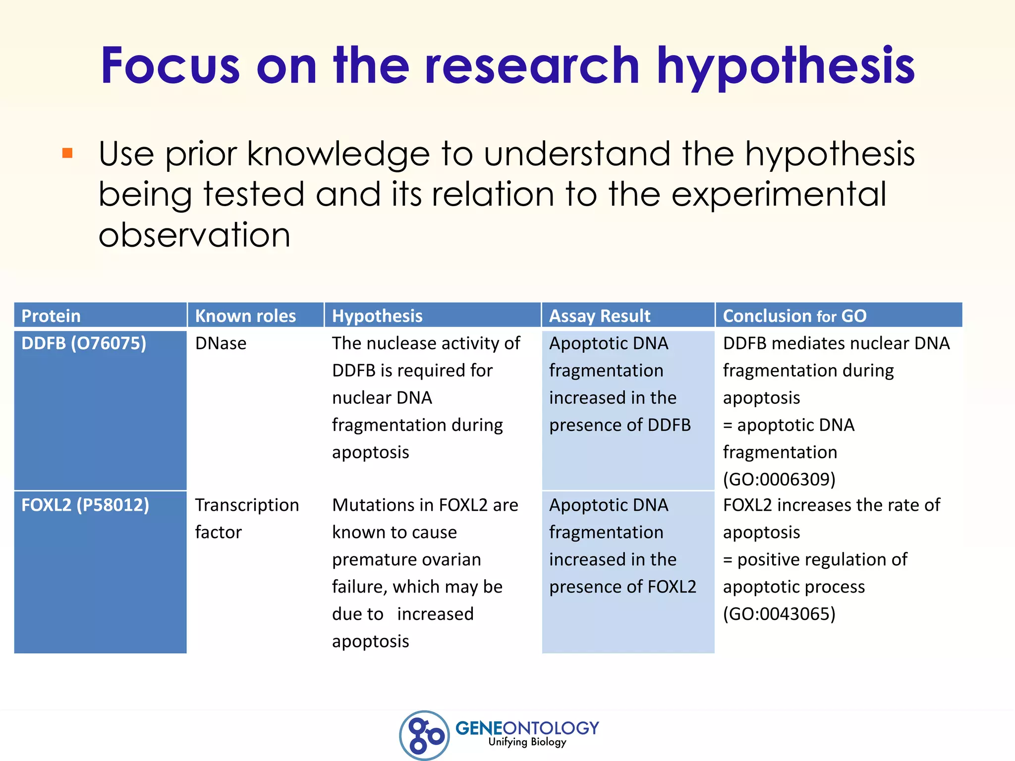 Focus on the research hypothesis
§ Use prior knowledge to understand the hypothesis
being tested and its relation to the experimental
observation
Protein Known	roles Hypothesis Assay Result Conclusion	for GO
DDFB	(O76075) DNase	 The	nuclease	activity	of	
DDFB	is	required	for	
nuclear	DNA	
fragmentation	during	
apoptosis
Apoptotic	DNA	
fragmentation	
increased	in	the	
presence	of	DDFB
DDFB	mediates	nuclear	DNA	
fragmentation	during	
apoptosis
=	apoptotic	DNA	
fragmentation	
(GO:0006309)
FOXL2	(P58012) Transcription	
factor
Mutations	in	FOXL2	are	
known	to	cause	
premature	ovarian	
failure,	which	may	be	
due	to			increased	
apoptosis	
Apoptotic	DNA	
fragmentation	
increased	in	the	
presence	of	FOXL2
FOXL2	increases	the	rate	of	
apoptosis	
=	positive	regulation	of	
apoptotic	process	
(GO:0043065)
 