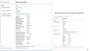 Johannes Keizer (Dr.rer.nat), GODAN, presentation at CAAS AII, 2017-09-01
http://browser.agrisemantics.org/gacs/en/page/C8813
 