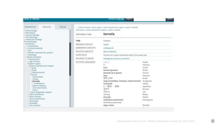 Johannes Keizer (Dr.rer.nat), GODAN, presentation at CAAS AII, 2017-09-01
 