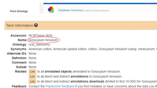 Johannes Keizer (Dr.rer.nat), GODAN, presentation at CAAS AII, 2017-09-01
Plant Ontology
Brasilian Cotton Ontology
 