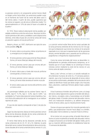 Tibia Salida 2017 1-revista-argentina-de-anatomia-online | PDF