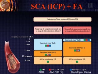 SCA (ICP) + FA
12 meses
ACO AAS 100 mg Clopidogrel 75 mg
 