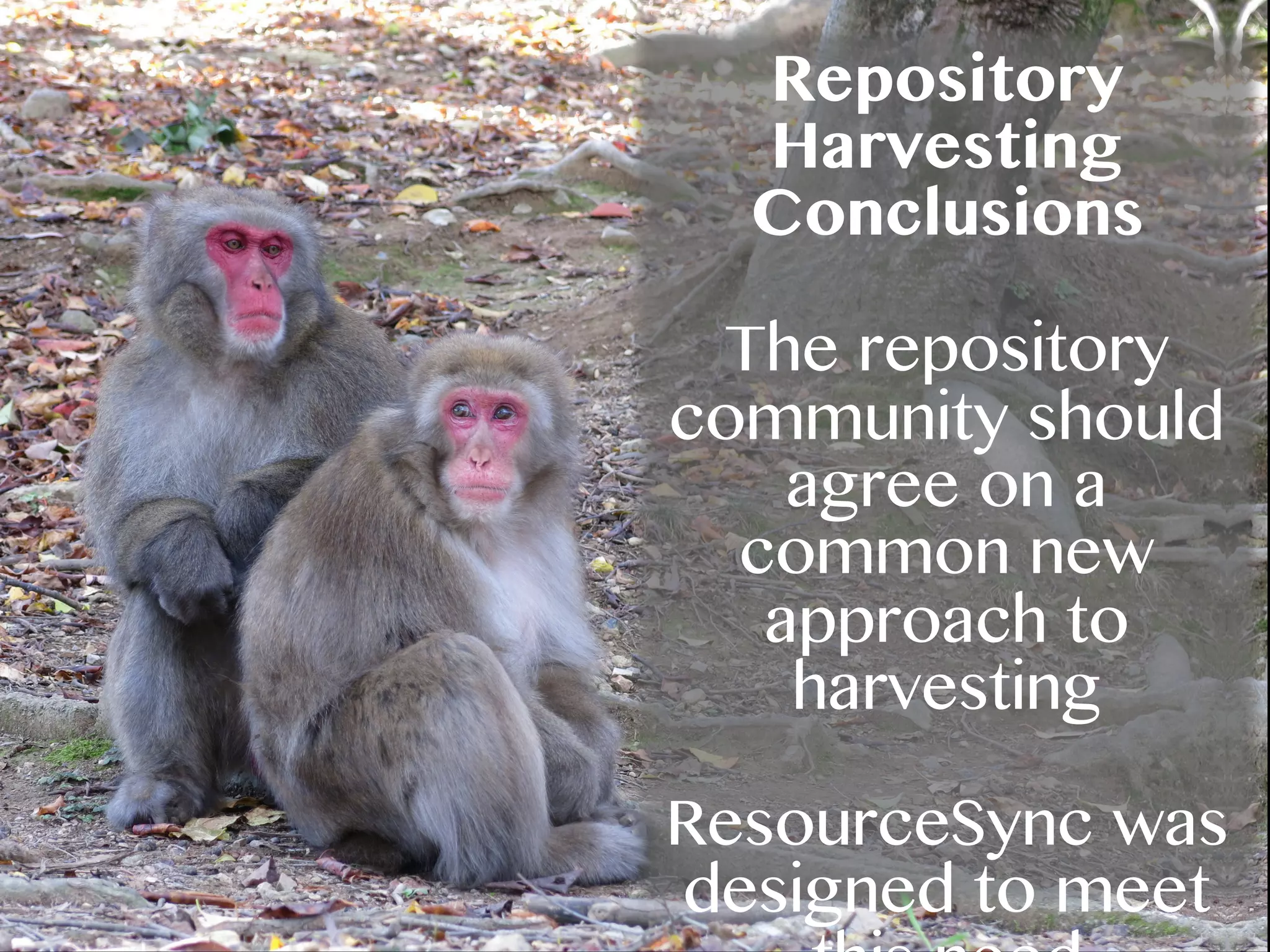 Repository
Harvesting
Conclusions
The repository
community should
agree on a
common new
approach to
harvesting
ResourceSync was
designed to meet
 