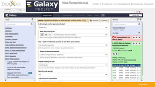 bioexcel.eu
https://usegalaxy.org/
 