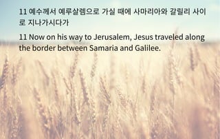 11 예수께서 예루살렘으로 가실 때에 사마리아와 갈릴리 사이
로 지나가시다가
11 Now on his way to Jerusalem, Jesus traveled along
the border between Samaria and Galilee.
 
