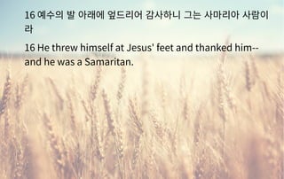 16 예수의 발 아래에 엎드리어 감사하니 그는 사마리아 사람이
라
16 He threw himself at Jesus' feet and thanked him--
and he was a Samaritan.
 