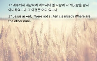17 예수께서 대답하여 이르시되 열 사람이 다 깨끗함을 받지
아니하였느냐 그 아홉은 어디 있느냐
17 Jesus asked, "Were not all ten cleansed? Where are
the other nine?
 