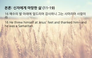 본론: 신자에게 마땅한 삶 (11-19)
16 예수의 발 아래에 엎드리어 감사하니 그는 사마리아 사람이
라
16 He threw himself at Jesus' feet and thanked him--and
he was a Samaritan.
 