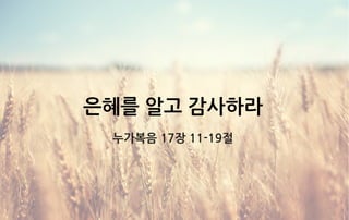 은혜를 알고 감사하라
누가복음 17장 11-19절
 