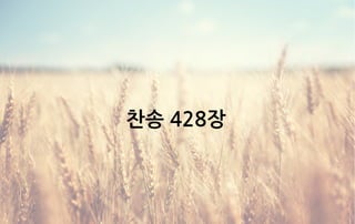찬송 428장
 