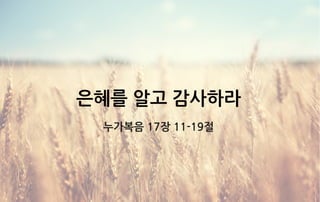 은혜를 알고 감사하라
누가복음 17장 11-19절
 