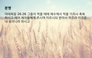 분병
마태복음 26:26 그들이 먹을 때에 예수께서 떡을 가지사 축복
하시고 떼어 제자들에게 주시며 이르시되 받아서 먹으라 이것은
내 몸이니라 하시고
 