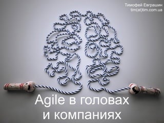 Agile в головах
и компаниях
Тимофей Евграшин
tim(at)tim.com.ua
 