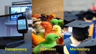 6
Transparency Openness Meritocracy
 