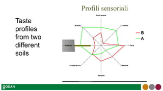 Taste
profiles
from two
different
soils
 