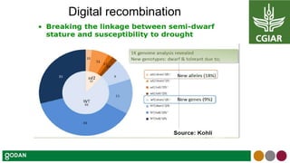 Digital recombination
 