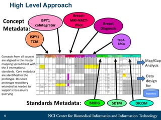 High Level Approach
6
ISPY1
TCIA
ISPY1
caIntegrator
TCGA-
BRCA
Breast-
MRI-NACT-
Pilot Breast
Diagnosis
BRIDG SDTM DICOM
Concept
Metadata:
Concepts from all sources
are aligned in the master
mapping spreadsheet with
the 3 international
standards. Core metadata
are identified for the
prototype. DI-cubed
prototype repository
extended as needed to
support cross-source
querying Repository
Standards Metadata:
Data
design
for
Map/Gap
Analysis
 