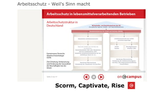 Scorm, Captivate, Rise
 