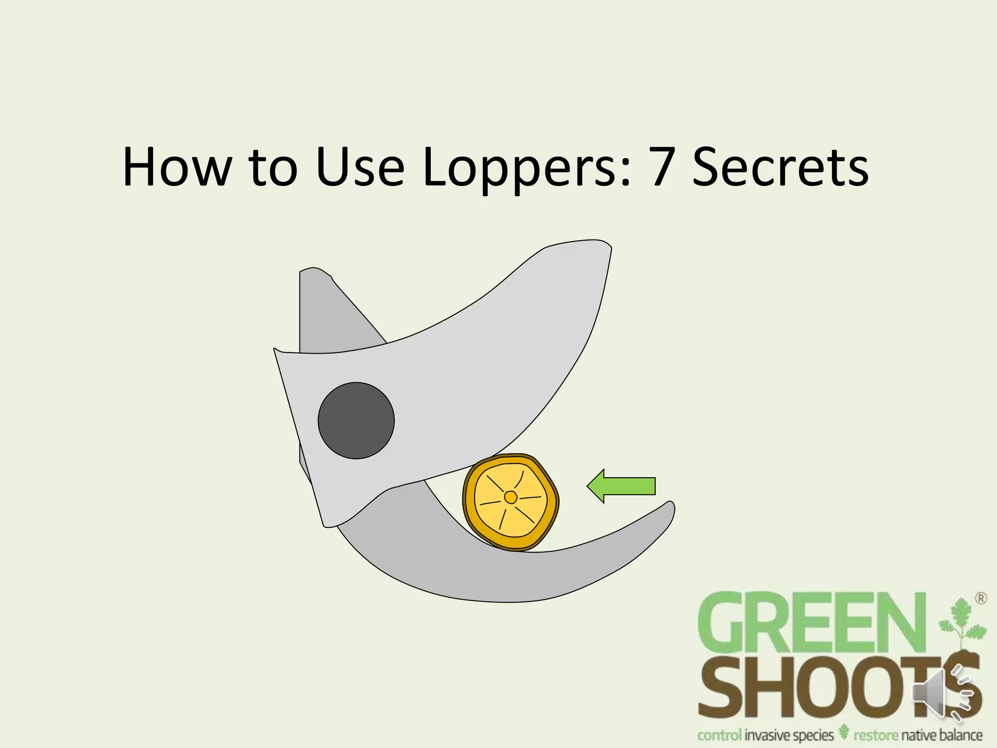 How to Use Loppers Efficiently 7 Tips PPT