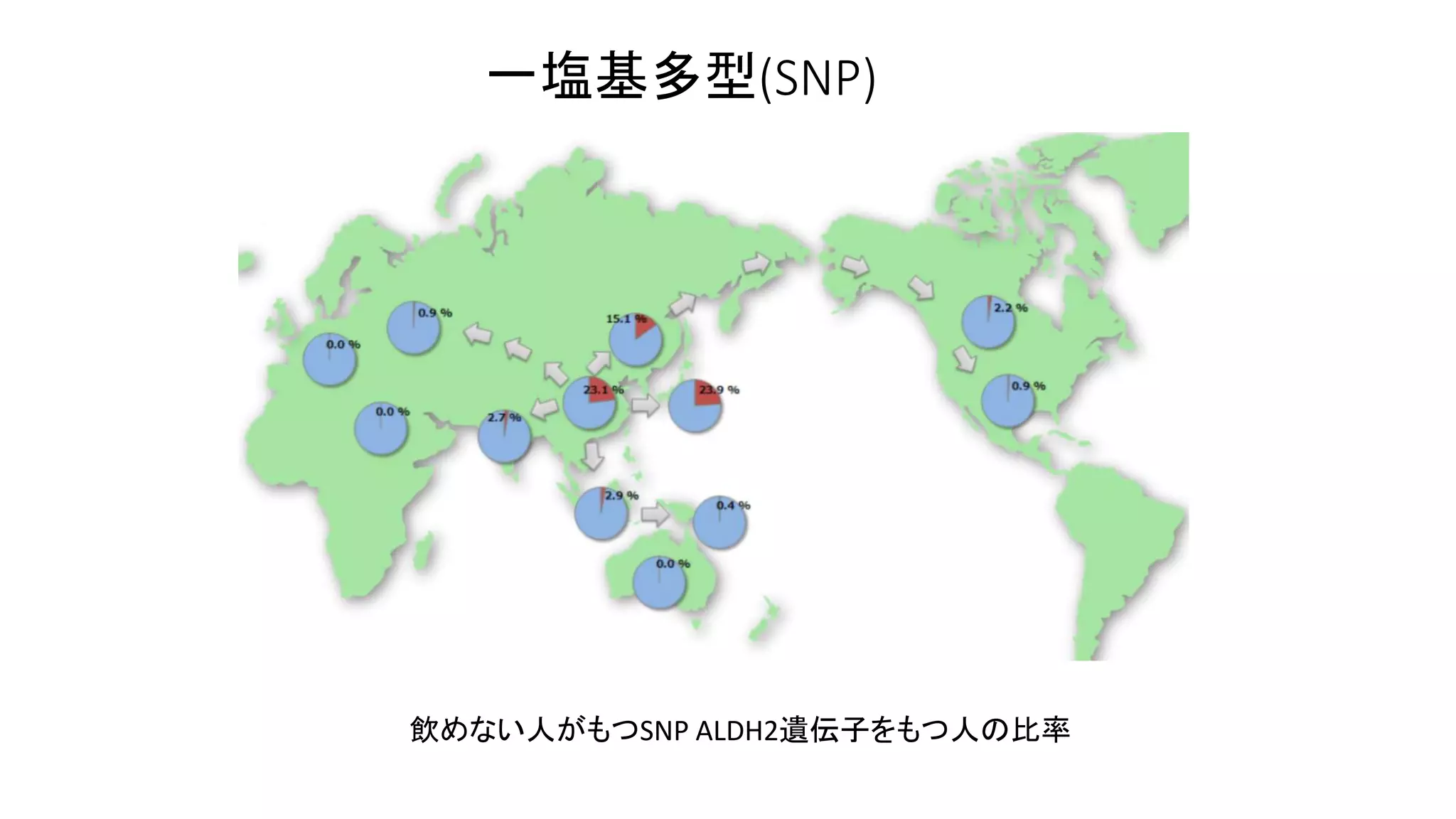 一塩基多型(SNP)
飲めない人がもつSNP ALDH2遺伝子をもつ人の比率
 