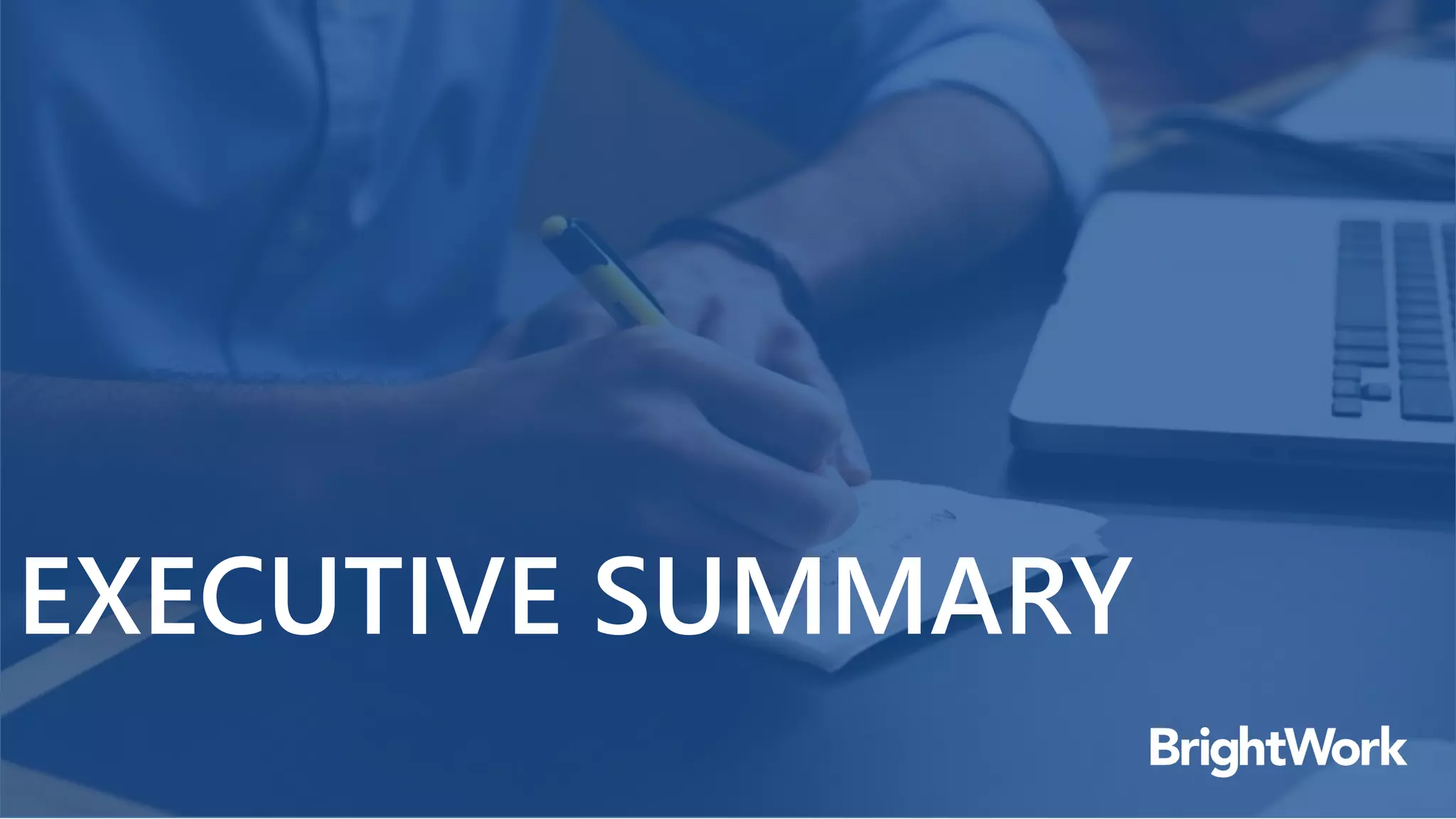 EXECUTIVE SUMMARY
 